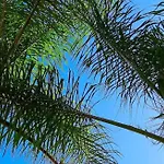 Pool 10 Guests Garden Bbq Near Beaches Dom wakacyjny Sesimbra