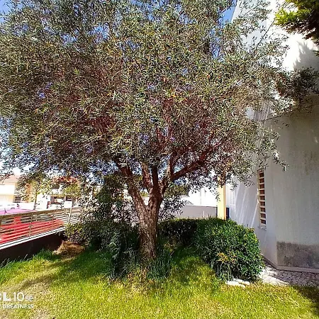 Holiday home Charming Pool Duplex Bbk & Garden Sesimbra