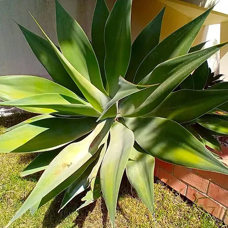 Lisbon South Bank Charming Pool Duplex & Garden Bbk 펜션 세심브라