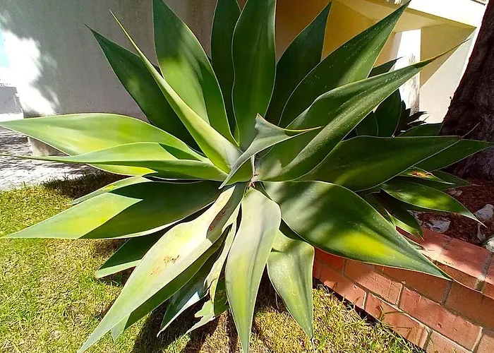 Lisbon South Bank Charming Pool Duplex & Garden Bbk Сasa de vacaciones Sesimbra