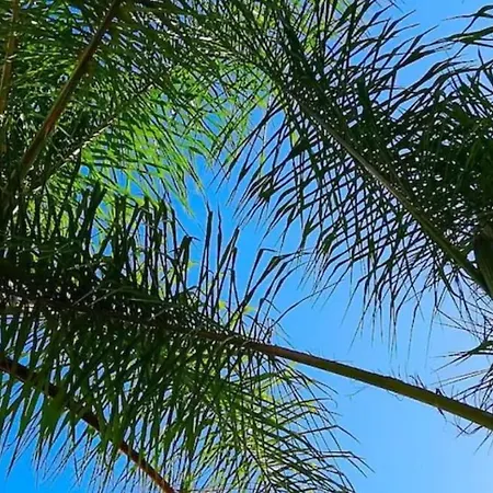 Lisbon South Bank Charming Pool Duplex&garden Bbk Ferienhaus Sesimbra