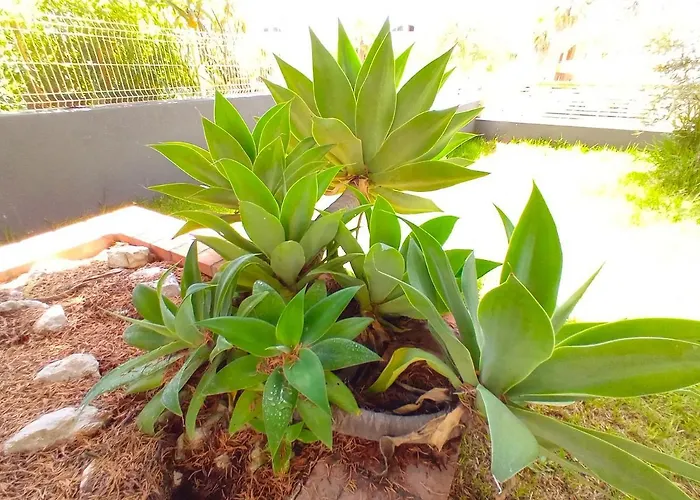 Дом отдыха Lisbon South Bank Charming Pool Duplex & Garden Bbk Сесимбра